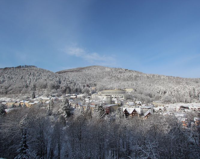 Abb. SCHWARZWALD
PANORAMA